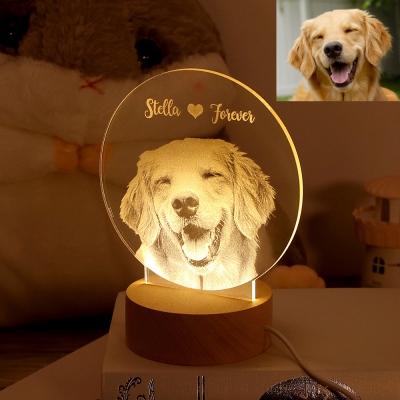 Personalized 3D Photo Night Light Gift for Birthday, Girlfriend, Boyfriend,Mother's Day, Valentine's Gift