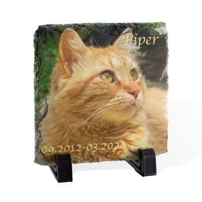 Personalisierte bunte Haustier-Foto-Rock-Schiefer, Haustier-Foto-Dekoration Pet Memorial Ornament, Geschenk für Tierliebhaber