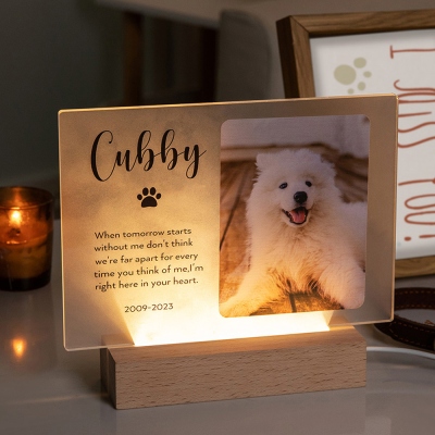 Personalisierte Gedenktafel für Haustiere mit Namen, beleuchtet, Gedenktafel mit individuellem Foto, Nachtlicht, Acrylschild mit Holzsockel, Beileidsgeschenke für den Verlust eines Haustiers