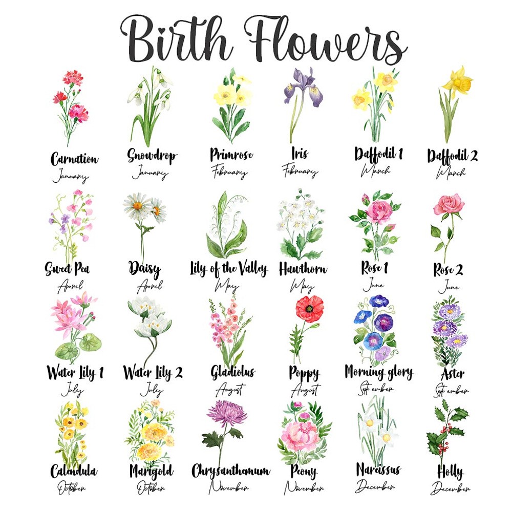 fiori di nascita
