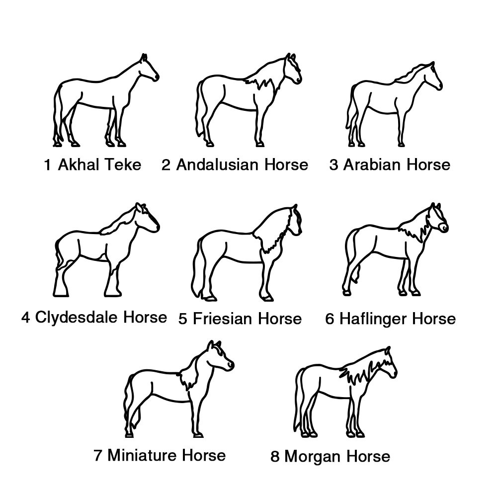 Pferdehalskette