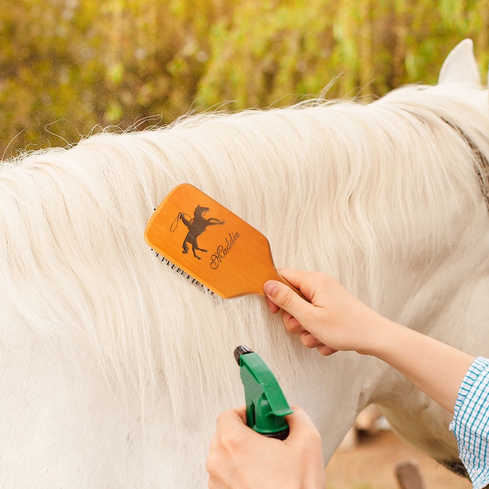personalized horse brush