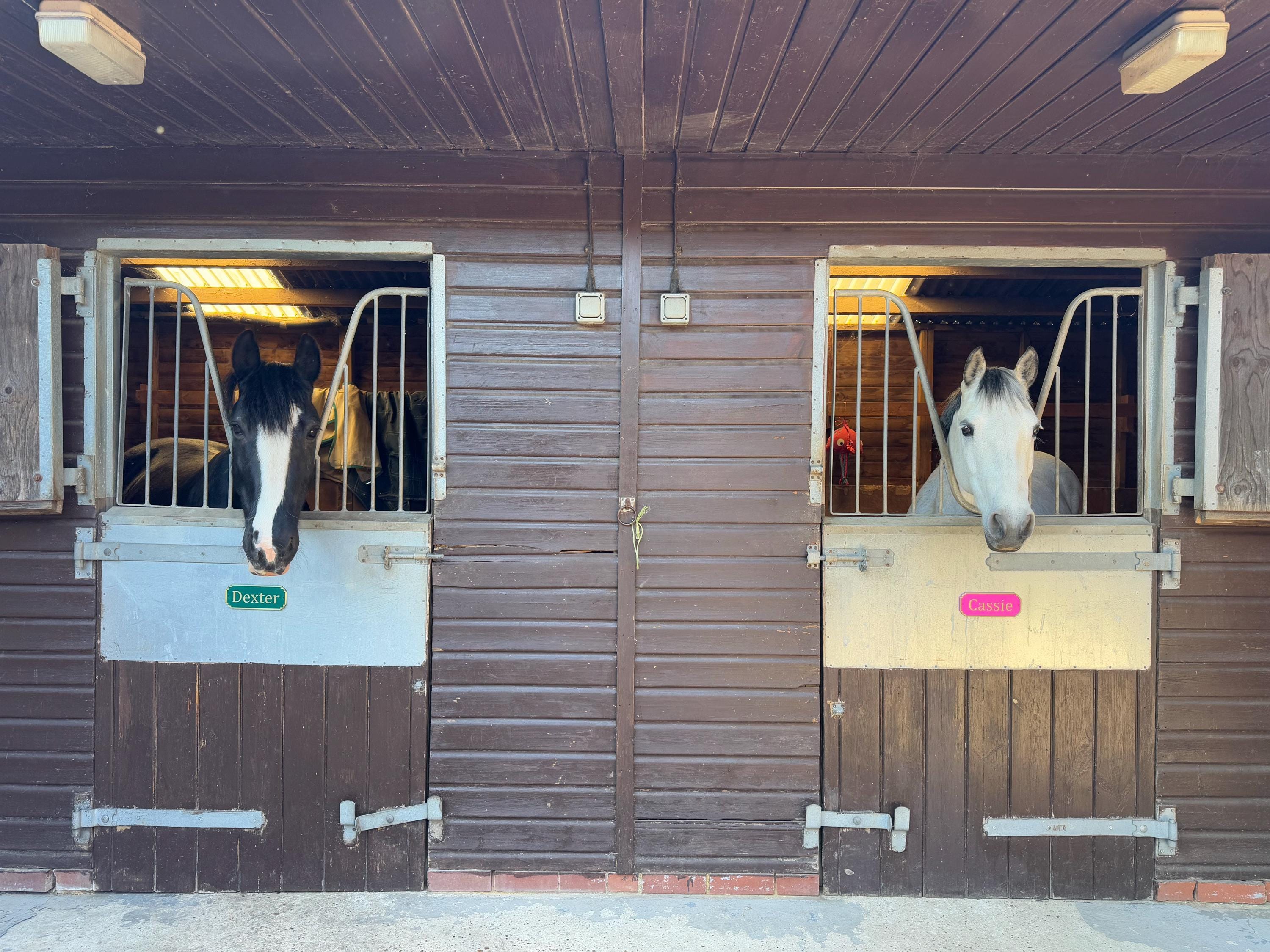 Personalised Stable Door Name Plate | Classic Design | Stall Door Sign | Barn Door Sign | Stable Yard | Horse Door Sign | Pony Door Sign
