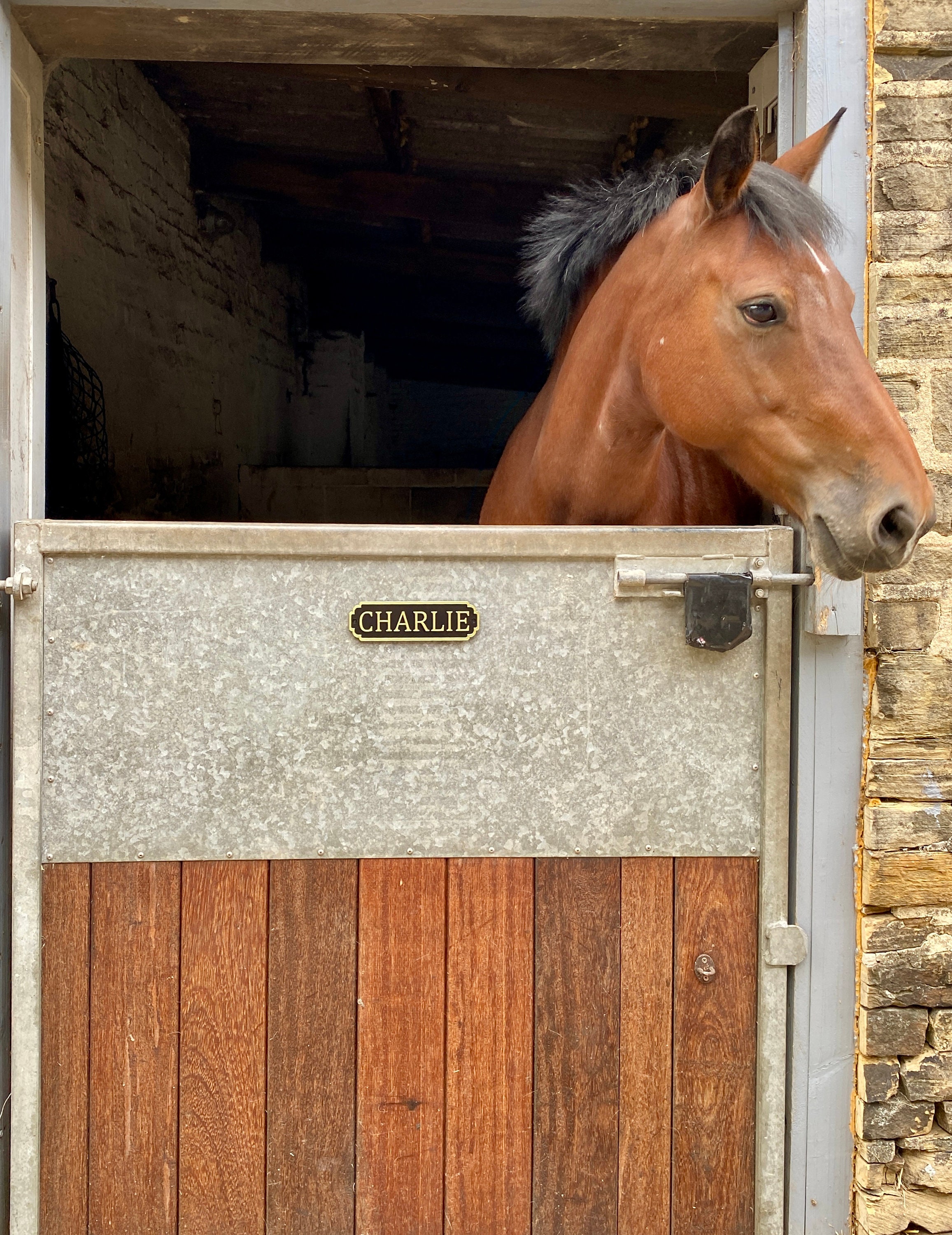 Personalised Stable Door Name Plate | Classic Design | Stall Door Sign | Barn Door Sign | Stable Yard | Horse Door Sign | Pony Door Sign