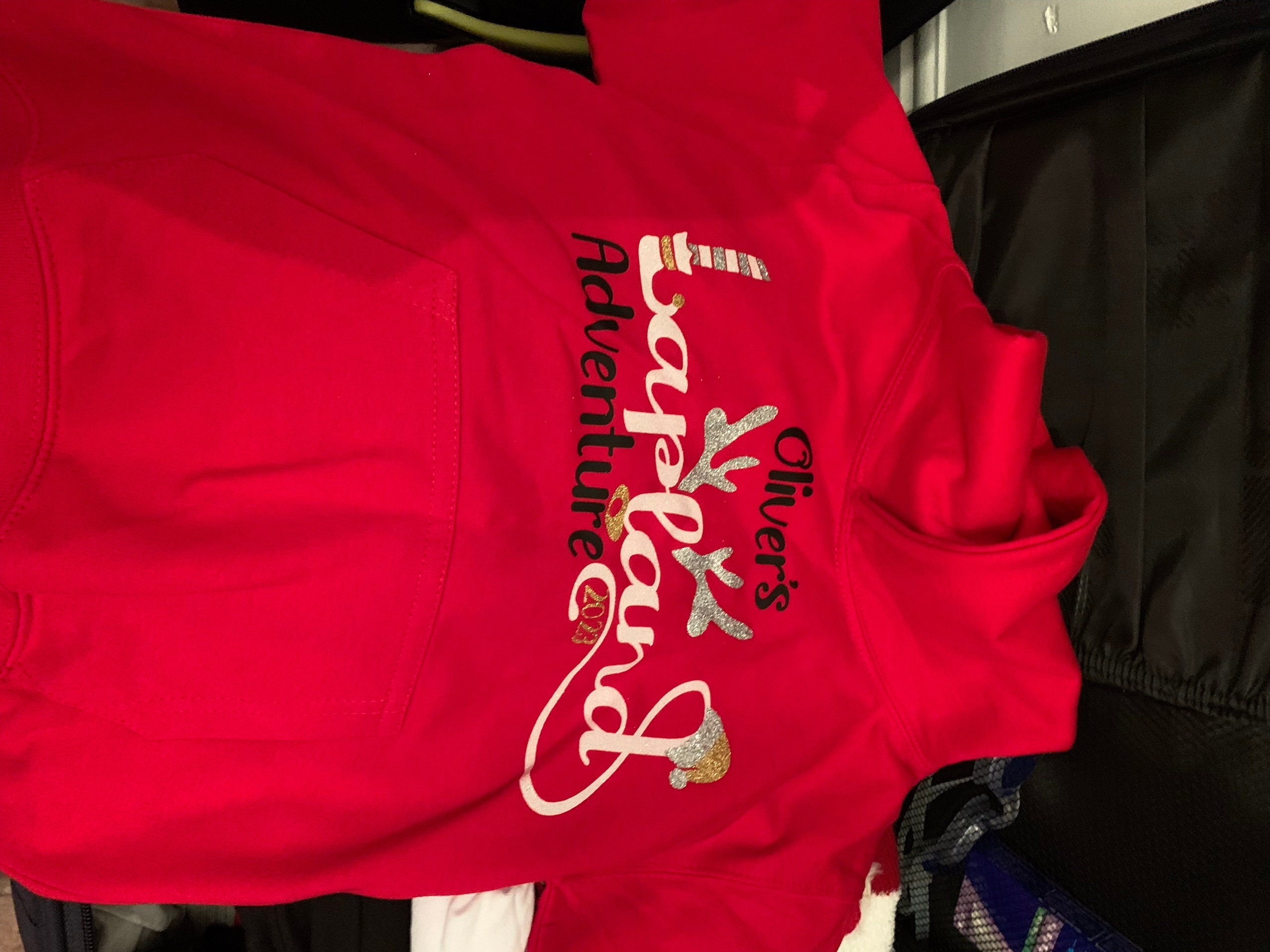 Personalised 2025/26 Lapland Hoodies, Matching Family Hoodies, Lapland, Lapland Reveal, Lapland Jumpers, Family Jumpers,