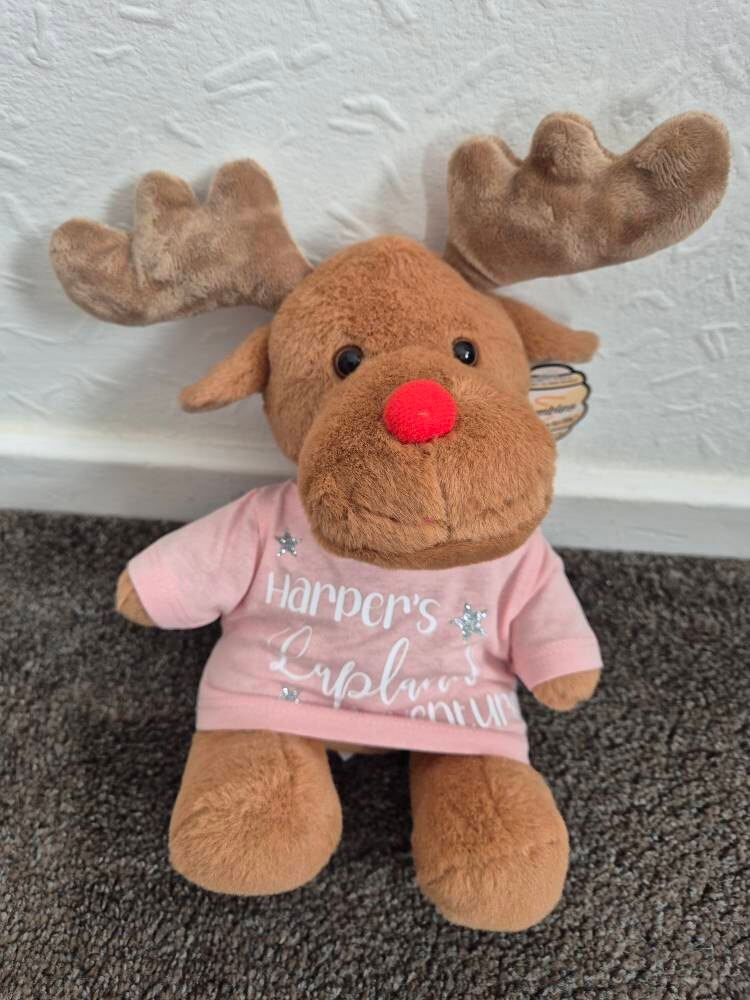 Lapland Gifts, Personalised Lapland Reindeer Teddy, Lapland, Lapland Reveal, Reveal Gifts,  Personalised Lapland Gifts,Lapland 2025/26