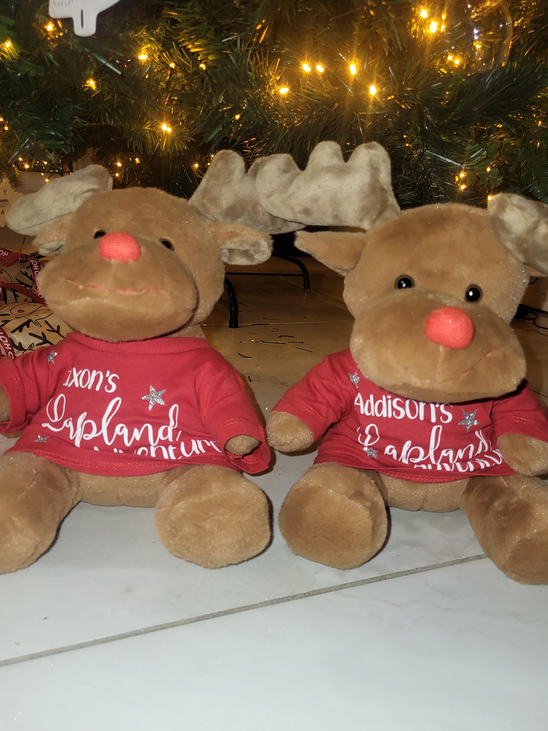 Lapland Gifts, Personalised Lapland Reindeer Teddy, Lapland, Lapland Reveal, Reveal Gifts,  Personalised Lapland Gifts,Lapland 2025/26