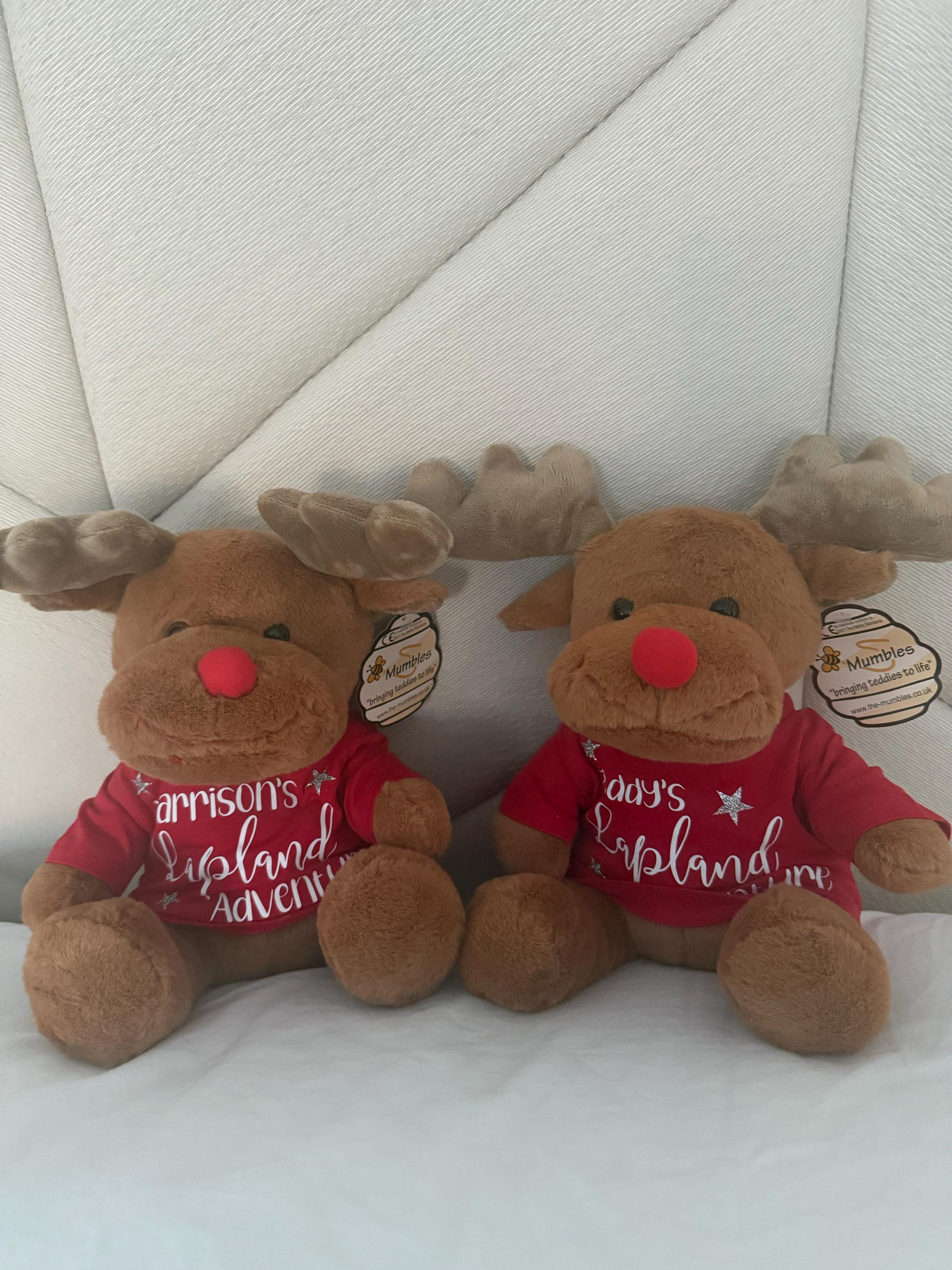 Lapland Gifts, Personalised Lapland Reindeer Teddy, Lapland, Lapland Reveal, Reveal Gifts,  Personalised Lapland Gifts,Lapland 2025/26