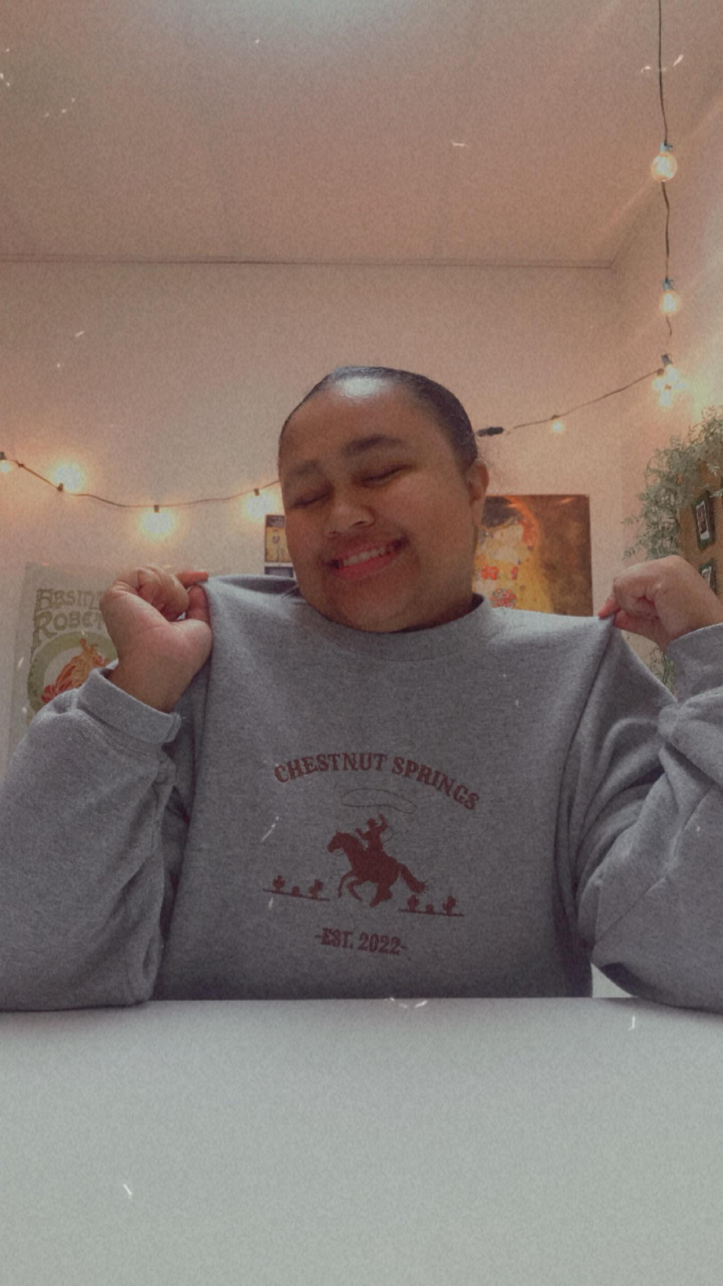 Chestnut Springs Series Sweatshirt / Licensed Elsie Silver Merch / Book Merch / Book Embroidered Sweatshirt / Cowboy Romance Merch