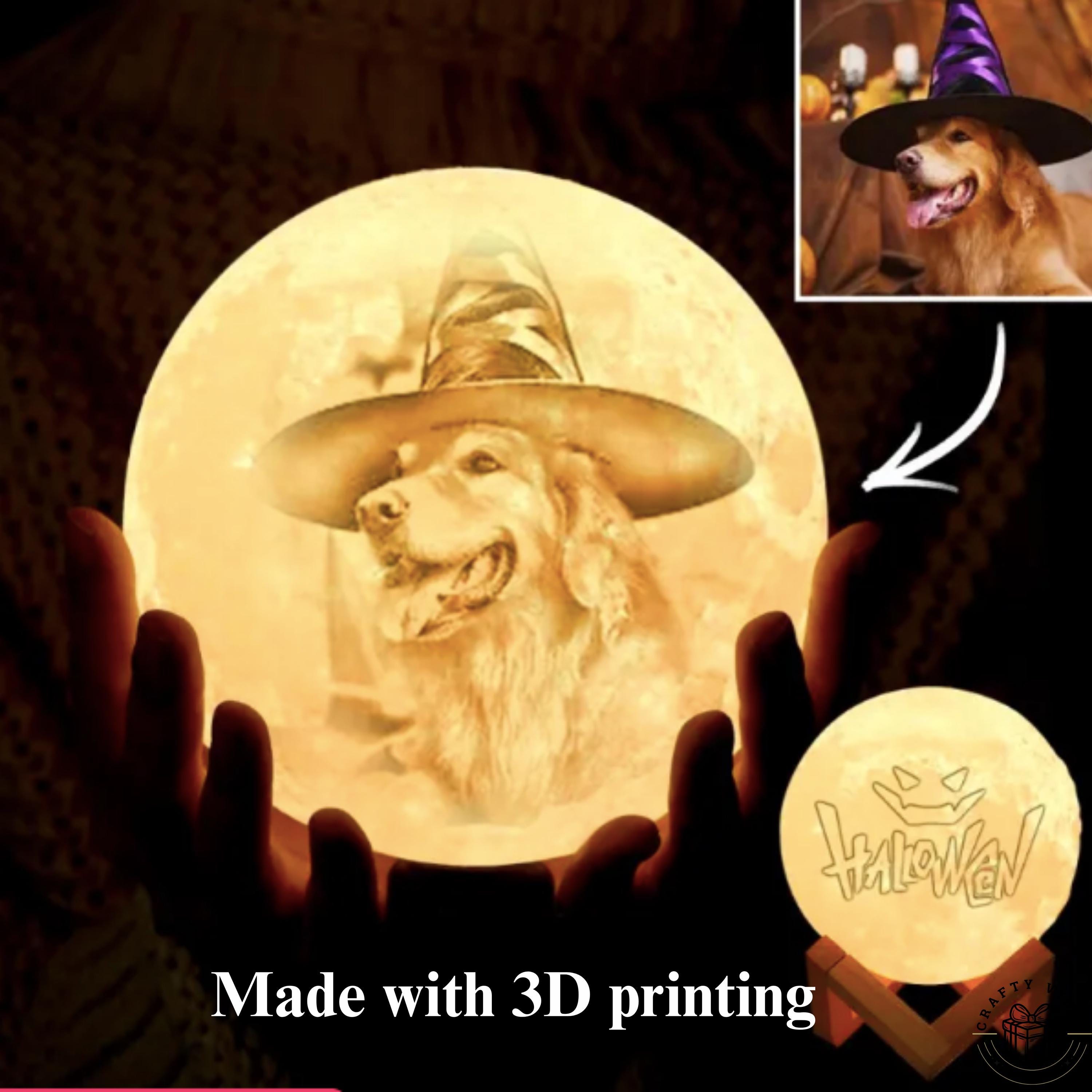 Custom Pet Photo Moon Lamp 3D Printed Personalized Night Light Pet Memorial Gift for Dog Cat Lover Unique Pet Owner Home Decor LED Lamp Gift