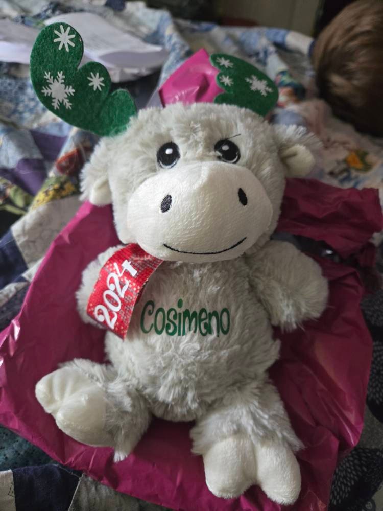 Christmas plush, Christmas gift, Personalized Christmas Moose, Stocking stuffers for kids, gift for kids, Boy gift, Gift for Preschoolers,