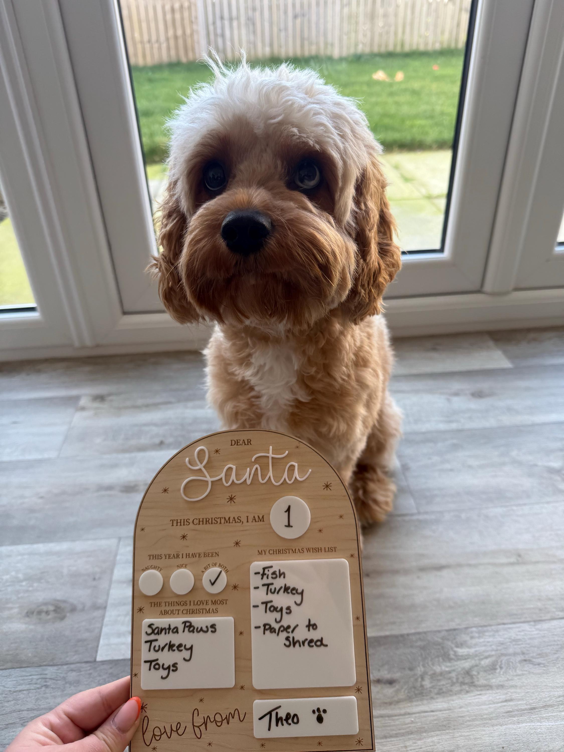 Reusable Dear Santa Letter Christmas Wish White Board Wood Acrylic