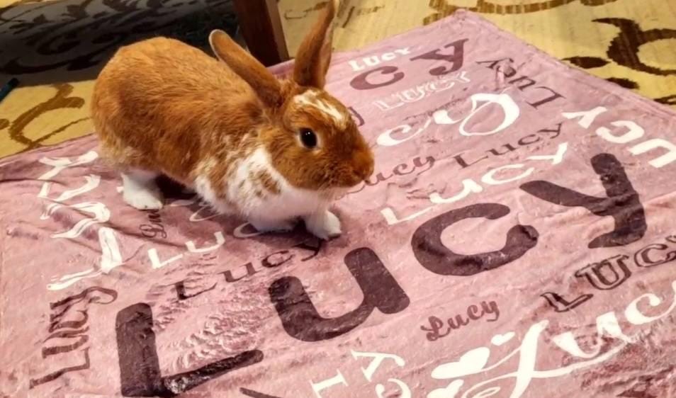 Personalized Name Blanket for Kids, Custom Fleece Nursery Blanket for Newborn, Kids Throw Blanket, Swaddle Blanket, Mother's Day Gift