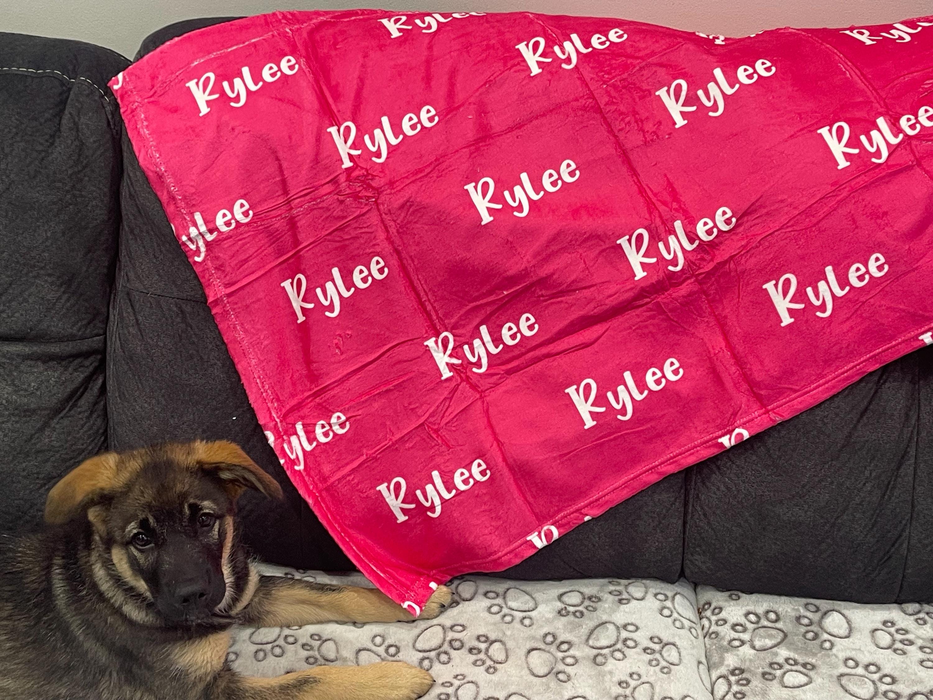 Personalized Baby Blanket, Name Baby Blanket, Custom Blanket for Baby, Newborn Name Swaddle, Minky Fabric Soft Blanket, Newborn Toddler Gift