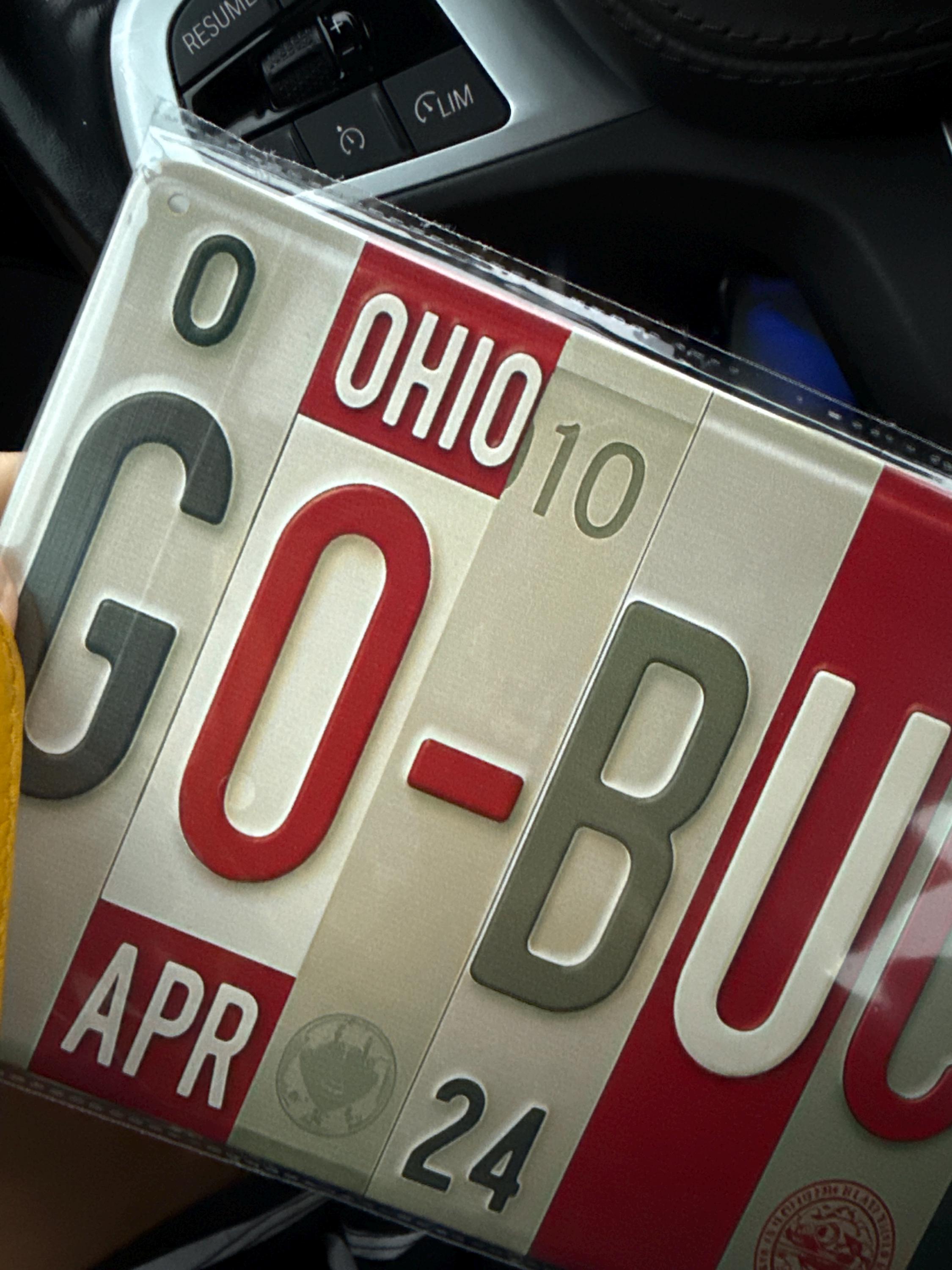 Go-Buckeyes License Plate Sign – Ohio State Buckeyes Metal Wall Art | OSU, Scarlet and Gray Fan Cave, Dorm & Game Day Decor (16×6)