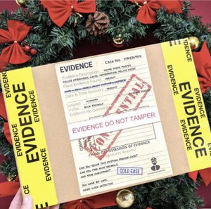 Investigation Advent Calendar, Christmas Gift for Friends/Family