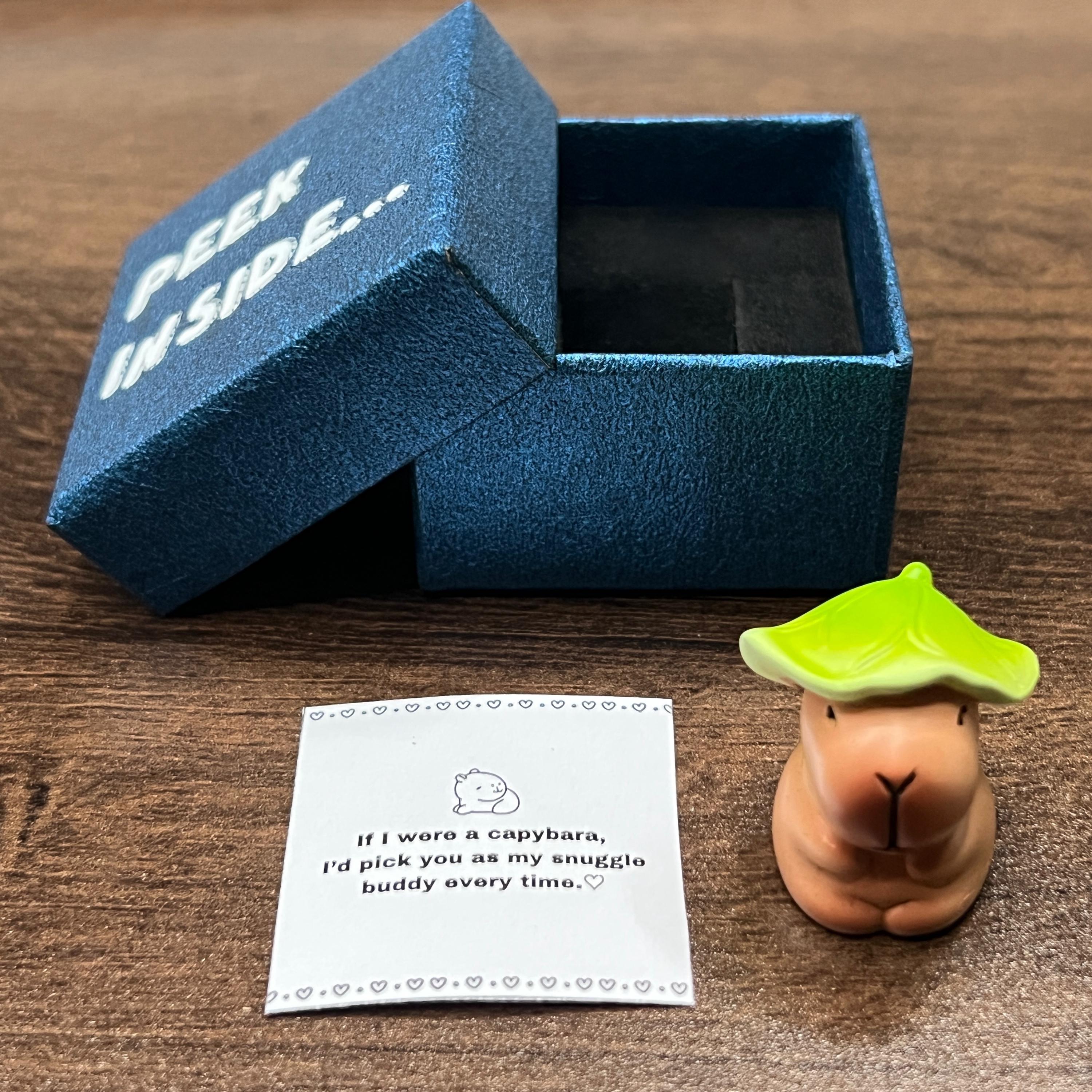 I Love You Gift, Capybara Gift, Gift For Boyfriend, Gift For Girlfriend,Valentine's Day Gift,Capybara Blindbox, Pocket Hug, Friendship gift