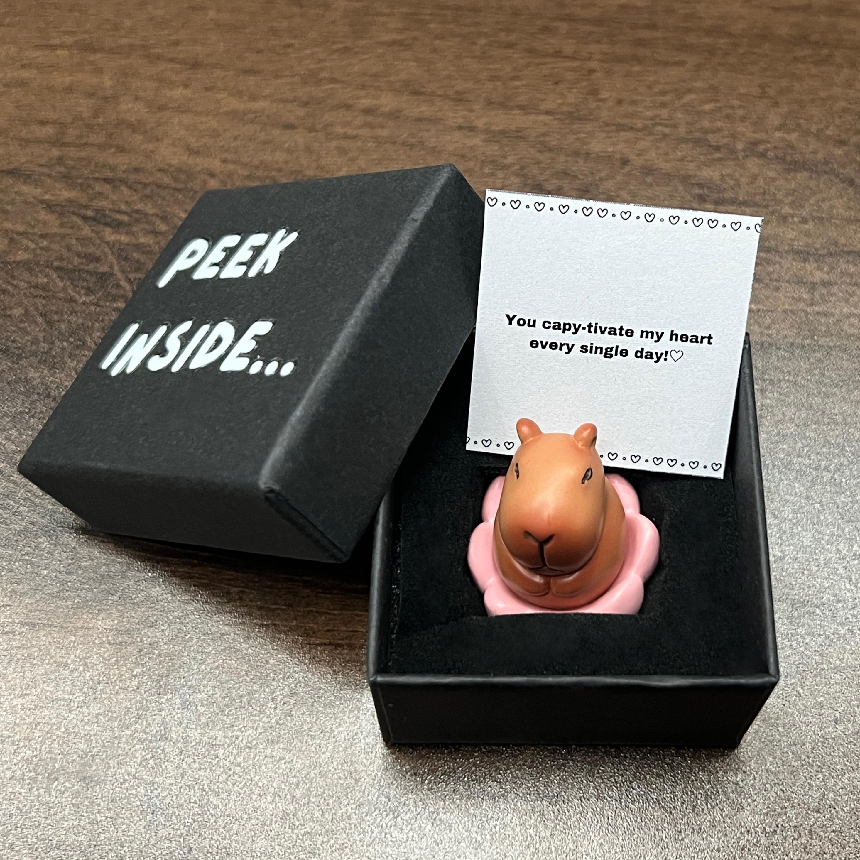 I Love You Gift, Capybara Gift, Gift For Boyfriend, Gift For Girlfriend,Valentine's Day Gift,Capybara Blindbox, Pocket Hug, Friendship gift