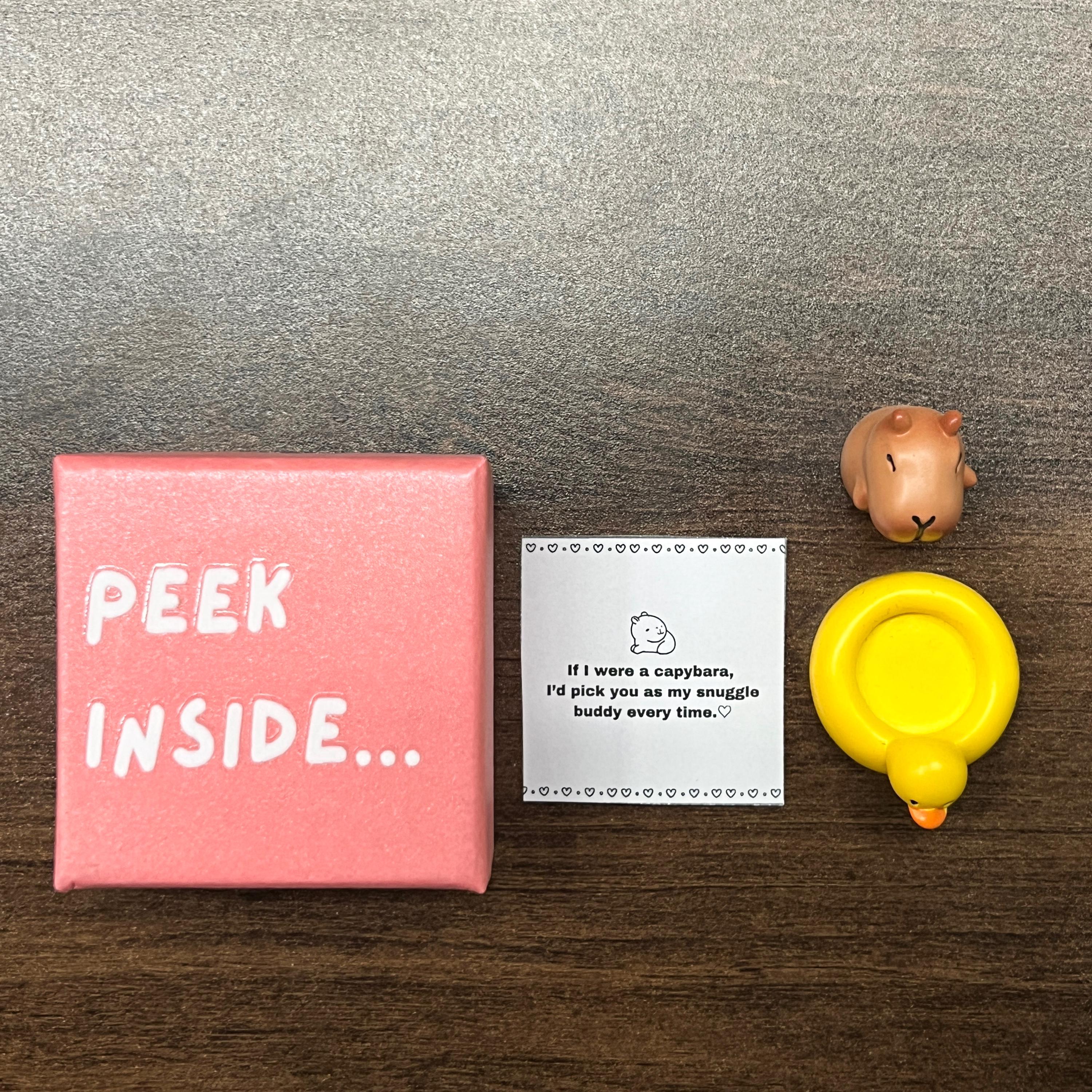 I Love You Gift, Capybara Gift, Gift For Boyfriend, Gift For Girlfriend,Valentine's Day Gift,Capybara Blindbox, Pocket Hug, Friendship gift