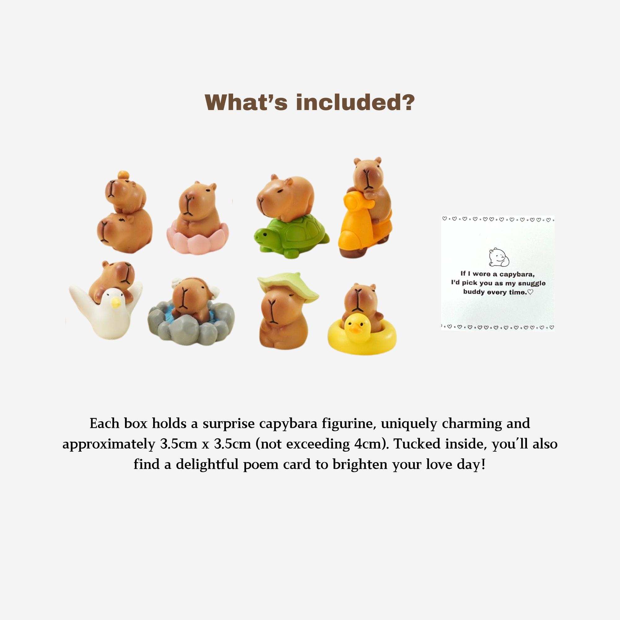 I Love You Gift, Capybara Gift, Gift For Boyfriend, Gift For Girlfriend,Valentine's Day Gift,Capybara Blindbox, Pocket Hug, Friendship gift