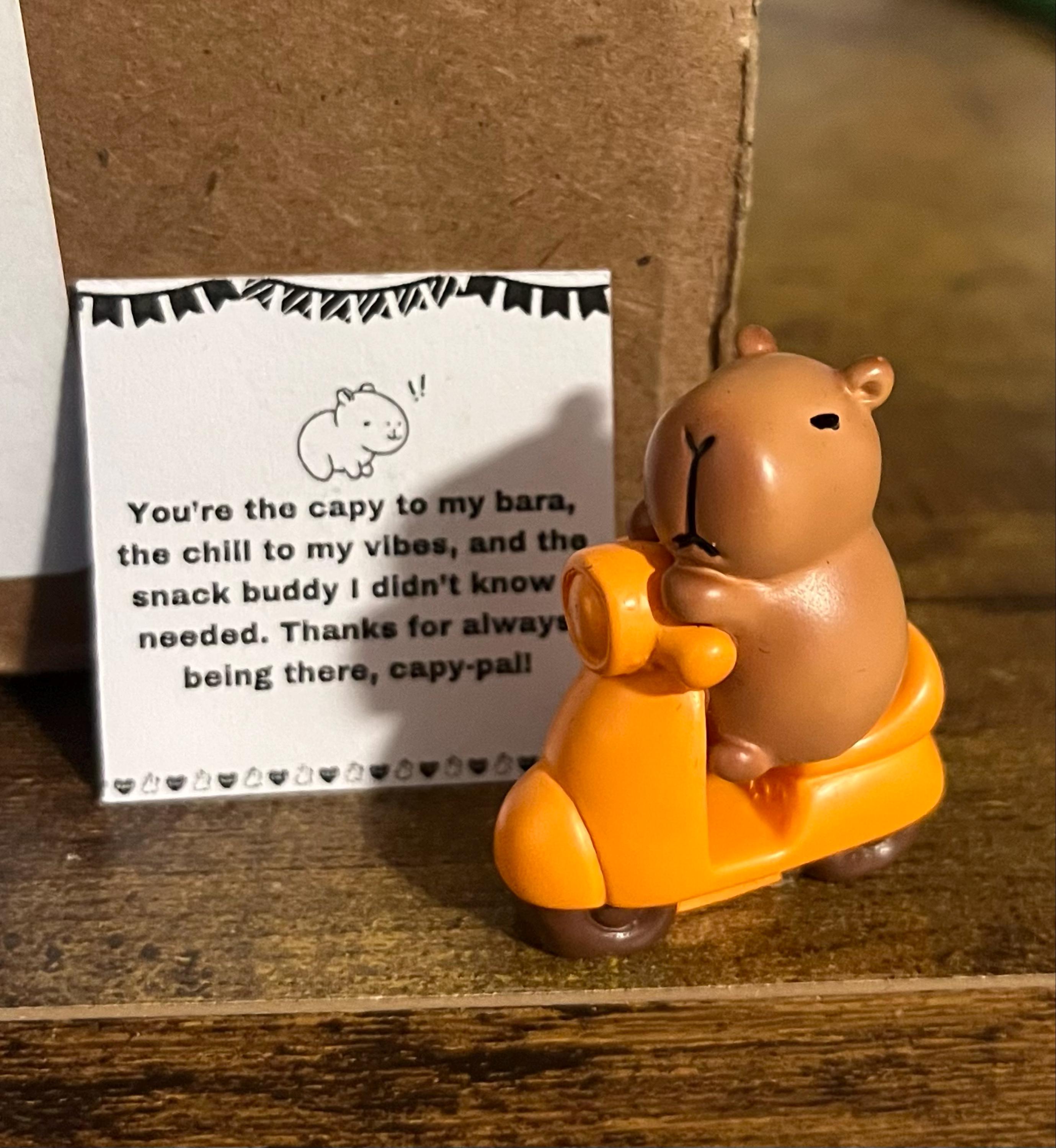 I Love You Gift, Capybara Gift, Gift For Boyfriend, Gift For Girlfriend,Valentine's Day Gift,Capybara Blindbox, Pocket Hug, Friendship gift