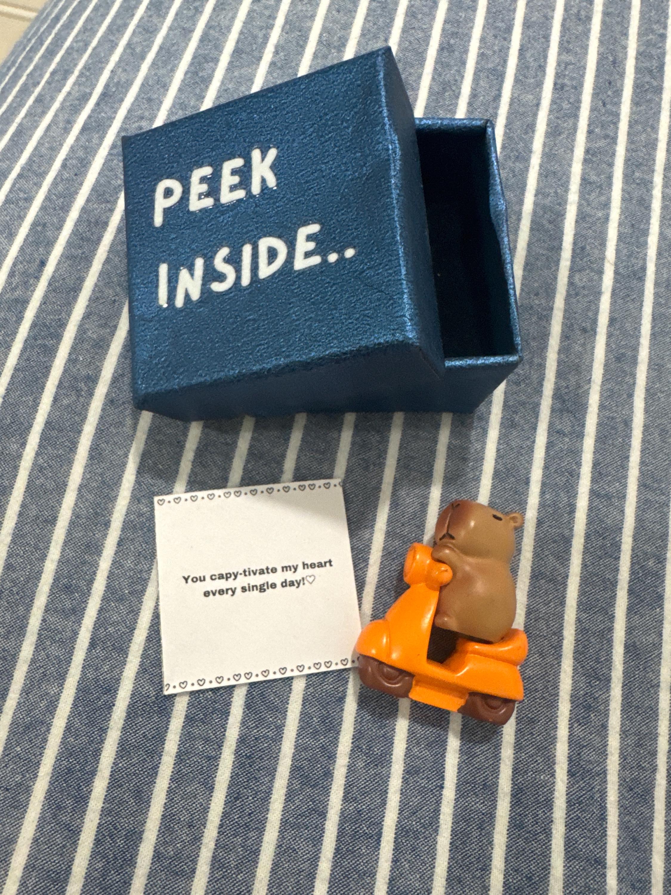 I Love You Gift, Capybara Gift, Gift For Boyfriend, Gift For Girlfriend,Valentine's Day Gift,Capybara Blindbox, Pocket Hug, Friendship gift