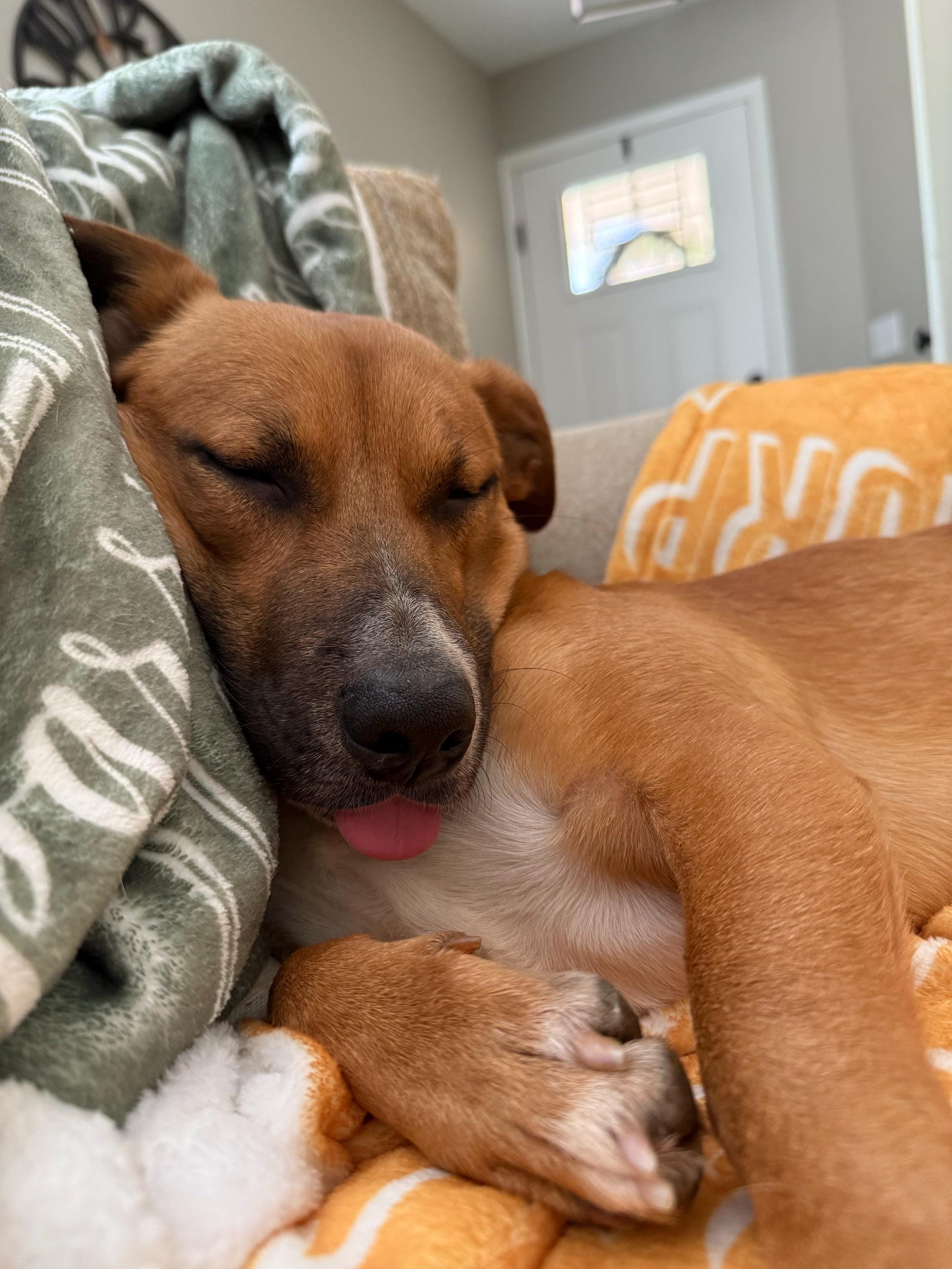 Kids Name Blanket, Personalized Name Blanket, Baby Name Blanket, Kids Custom Blanket, Soft Blanket with Name, Name Blanket for Boy, Girl