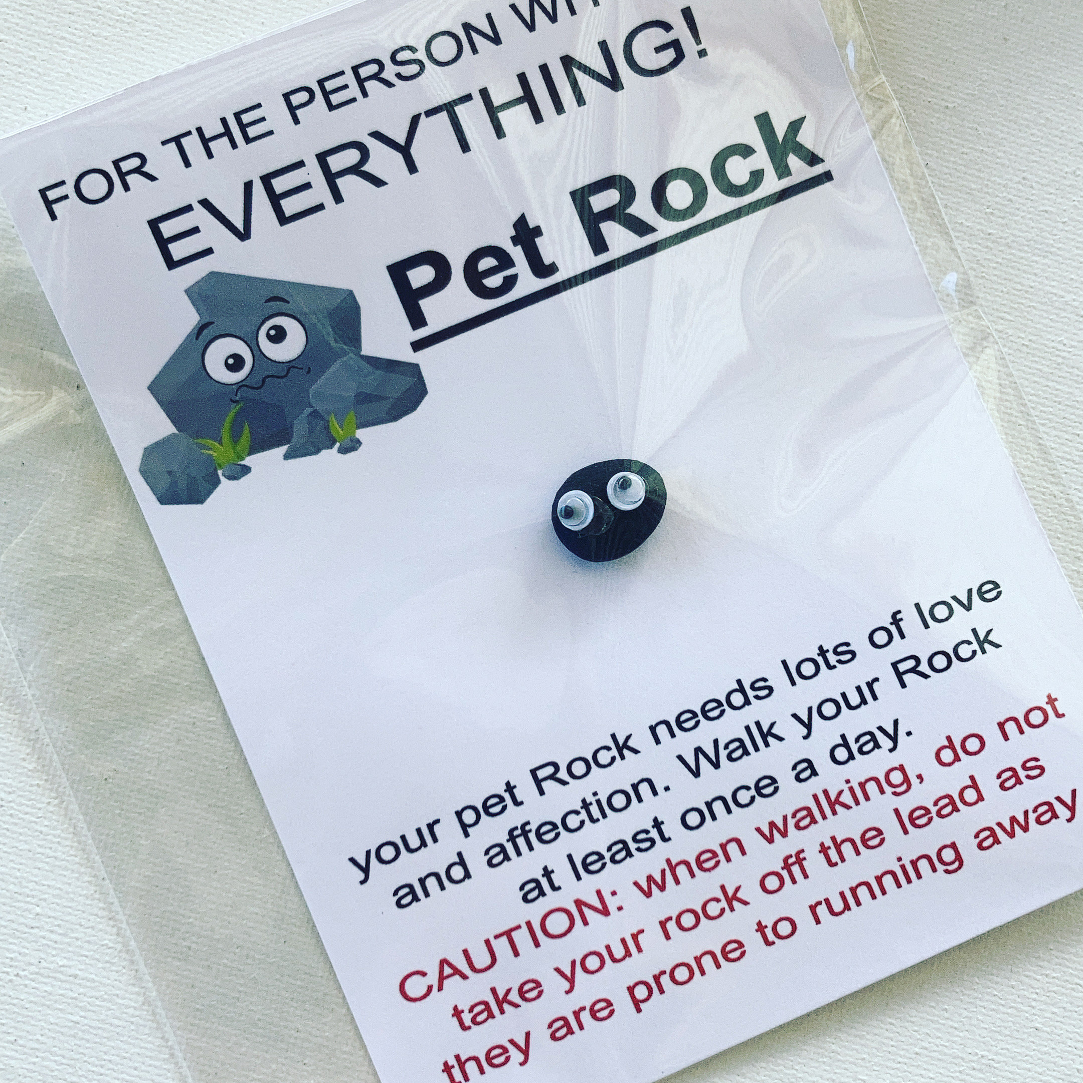 HILLARIOUS gifts, belly button cleaner, pet rock, white elephant, pet cloud, pet cloud WORRY WART, funny gift idea for him her christmas