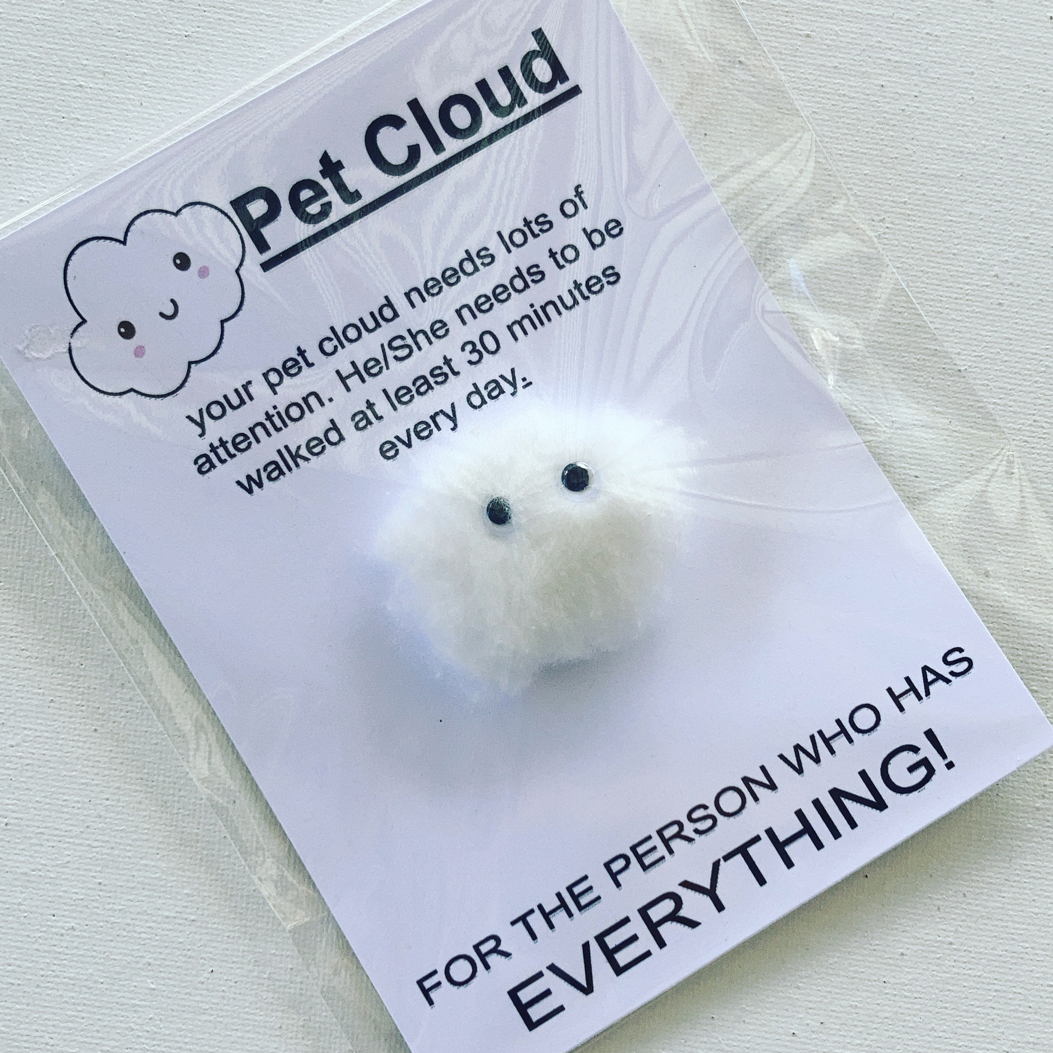 HILLARIOUS gifts, belly button cleaner, pet rock, white elephant, pet cloud, pet cloud WORRY WART, funny gift idea for him her christmas