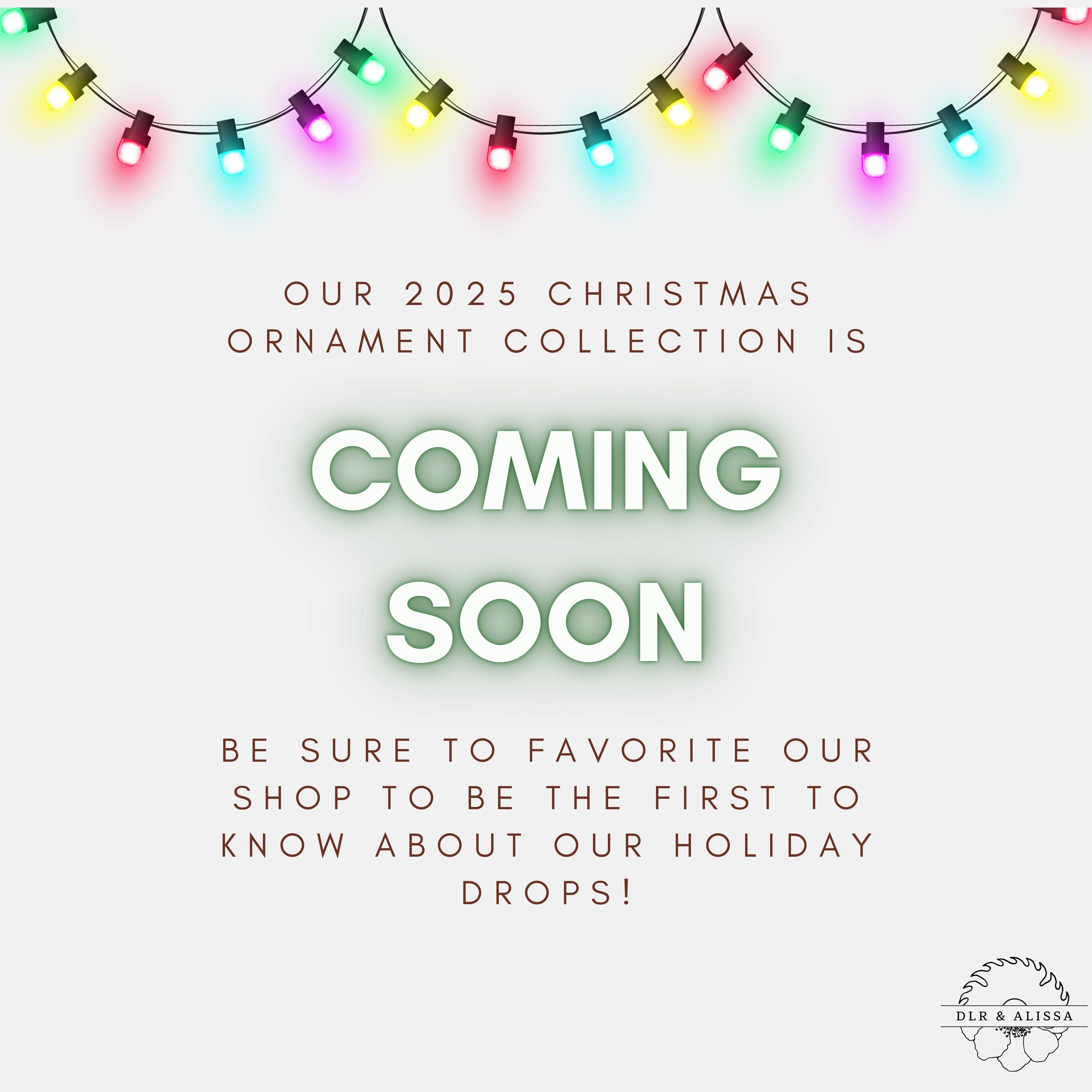 Personalized Baby Coming Next Year Ornament, New Baby Arriving 2025 2026, Stork Delivery, Custom Ornament, Christmas Gifts and Tree Decor