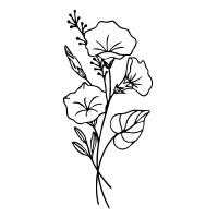 September-Morning Glory 