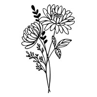 November-Chrysanthemun