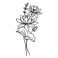 July-Water Lily