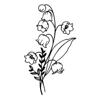 May-Lily of the Valley