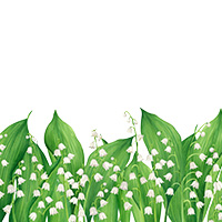 Lily of the Valley