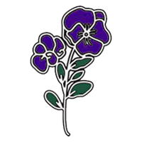 February-Violet