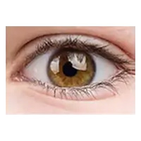 E1-Light Brown