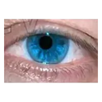 E8-Blue