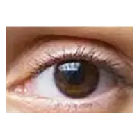E2-Brown