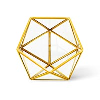 D20 Transparent
