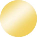 18K Gold Plated Stainless Steel