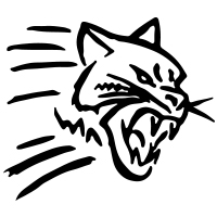 Design 22
