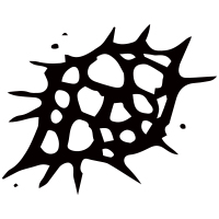 Design 9
