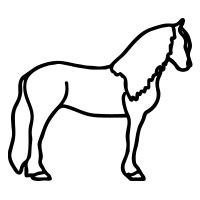 5. Friesian Horse