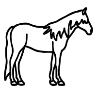 8. Morgan Horse