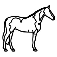 9. Paint Horse