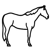 10. Quarter Horse