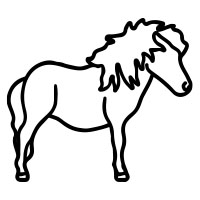 11. Shetland Pony