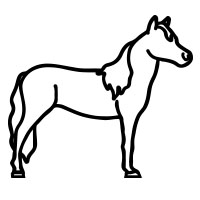7. Miniature Horse