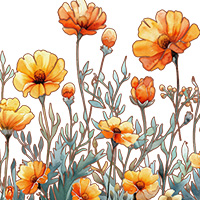 October-Marigold